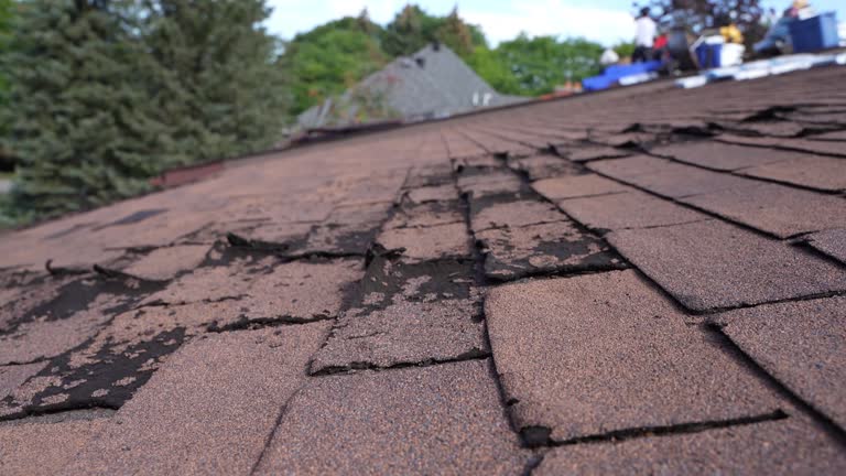 Best Hot Roofs  in Port Vue, PA