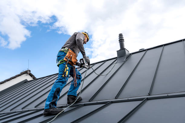 Best Roof Moss and Algae Removal  in Port Vue, PA